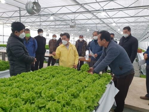 부여군, 쌈채소 생산으로 새 수익모델 창출 post image