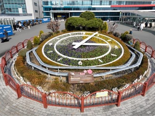대전시, 대전역 꽃시계 봄꽃으로 새단장 post image