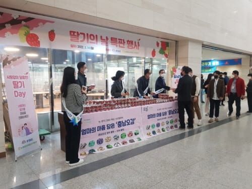 사탕 대신 새콤달콤 ‘충남 딸기’ 선물해요 post image