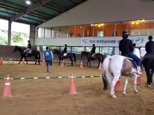 “말과 함께 호흡하며 호연지기 길러요” post image