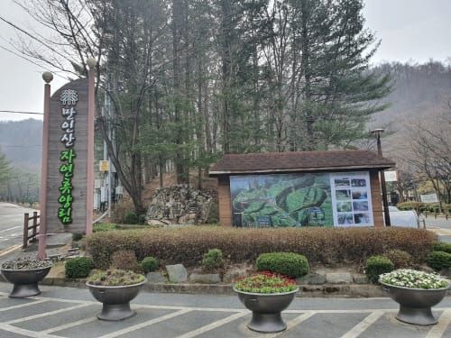 대전시, 만인산 자연휴양림 4월 1일부터 정상운영 post image