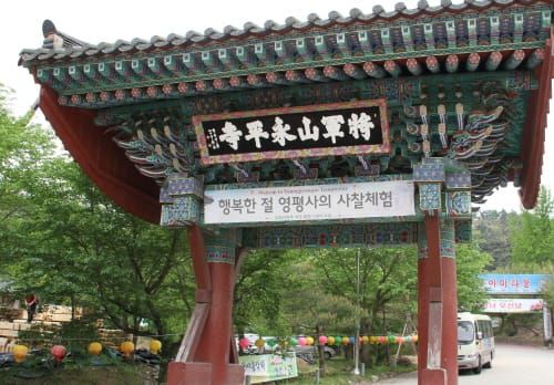 세종시 문화유산의 가치와 조우하다 post image