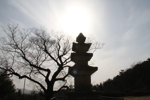 세종시 특화 문화재 향유프로그램 찾는다 post image
