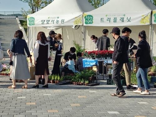 시민 발길 이어지는 국립세종수목원 ‘정원장터’ post image