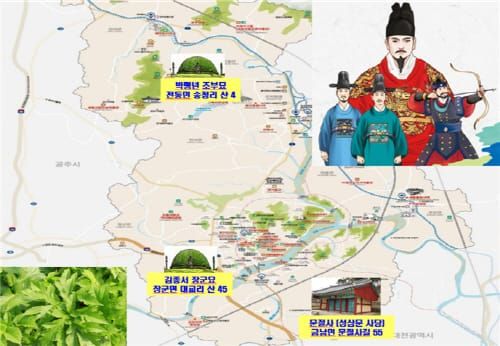 임금님 수랏상 오른 어수리, 판매전 post image