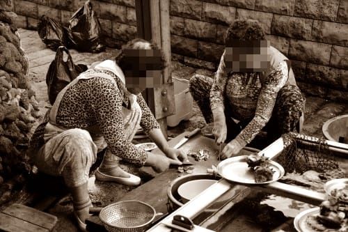 비브리오균 감염예방 ‘여름철 수산물 안전관리 강화’ post image
