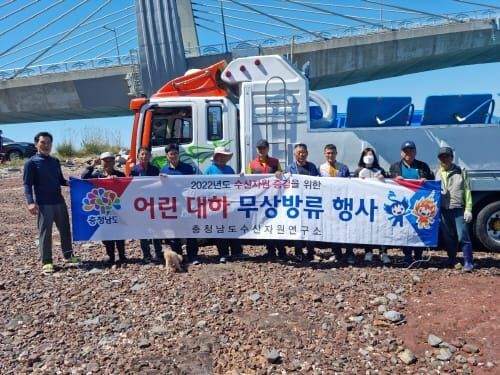 서해 특산종 대하 2000만 마리 방류 post image