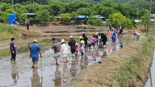 부여 서울농장, 정식 개장 앞두고 기대감 UP post image