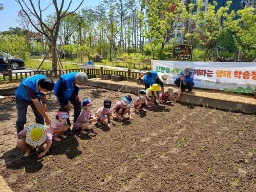 “얘들아! 우리 유치원에서 모내기 하자” post image