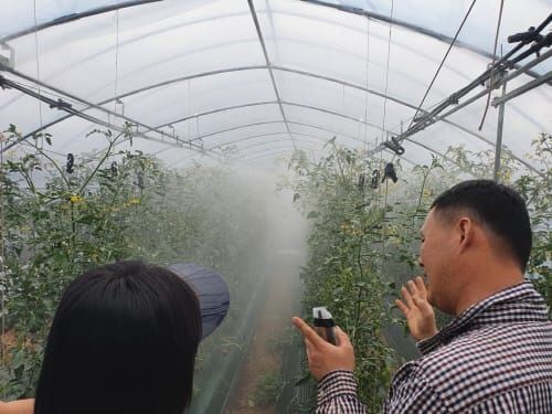 신기술로 이상기상 농작물 피해 사전대비 post image