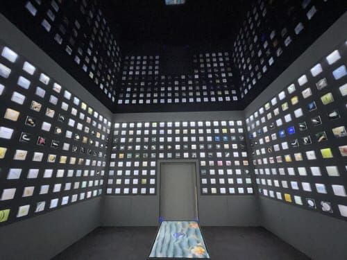 해양머드주제관, 갯벌 매개로 서식하는 생물 한눈에 관찰 post image