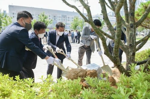 세종시 출범 10주년 기념 식수 식재 post image