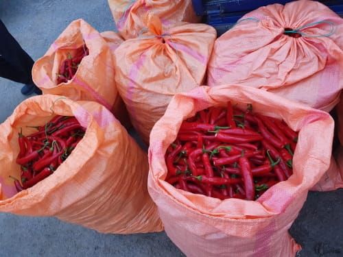 최고 품질 ‘부여 고추시장’ 개장 post image