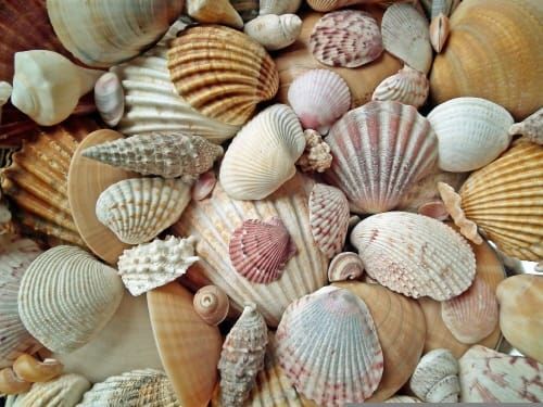 수산종자 인공지능 데이터 구축 착수 post image