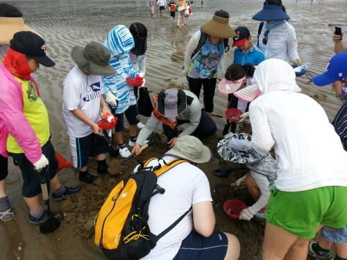 만인산푸른학습원, ‘가족과 함께 떠나는 자연탐사단’ 운영 재개 post image