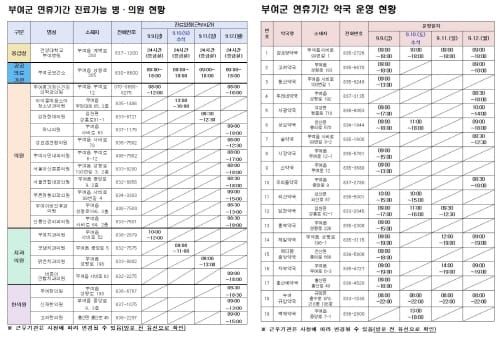 부여군, 추석 연휴기간 응급진료체계 구축 post image