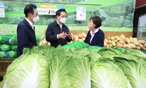농축산물 가격, 전반적 하향세… 배추는 비축물량 등 공급 확대 post image