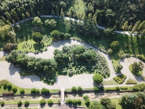 금강수목원, 나라꽃 무궁화 명소로 ‘우뚝’ post image