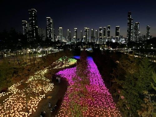 세종에 꽃피운 모두의 정원 43만 명 즐겼다 post image