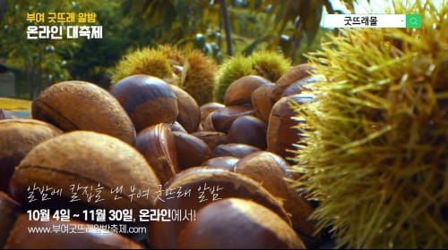 온라인으로 만나는 ‘부여 굿뜨래 알밤 축제’ post image