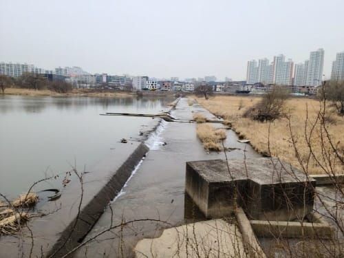 갑천 가수원교 하류 태봉보 내년 6월까지 철거한다 post image