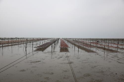 김산업 진흥구역 지정 공모 준비 ‘철저’ post image