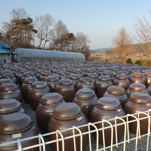 충남 학교급식 식재료 전통장류 ‘안전’ post image