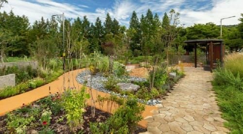 대전시, 산림청 주관 2023 정원드림 프로젝트 선정... 국비 3.8억 원 확보 post image