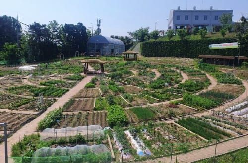 대전시농업기술센터, 행복농장 텃밭 분양 post image