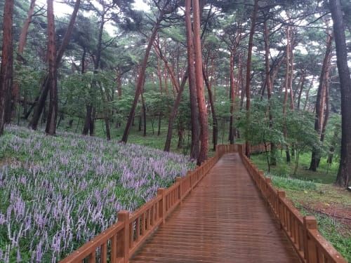 2026년 ‘국제원예치유박람회’ 연다 post image