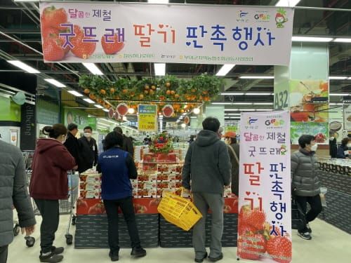 부여군, 굿뜨래 딸기 소비지 판촉행사 펼쳐 post image