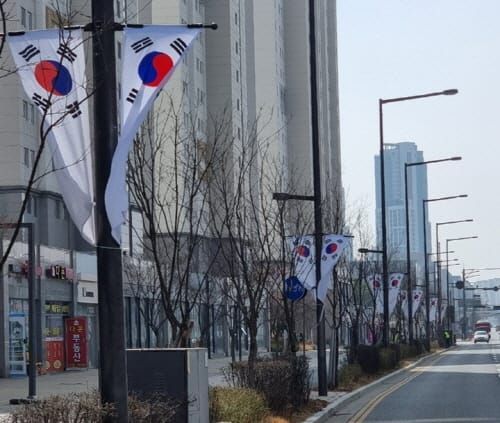 ‘세종시 전역, 태극기 물결로 넘실’ post image