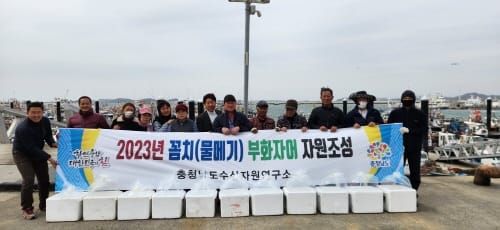 사라진 꼼치 자원 회복… 10만 마리 방류추진 post image