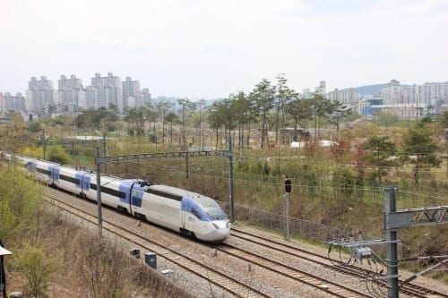세종시 가르는 KTX ‘10만 서명운동 추진’ post image