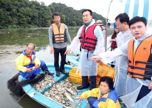 충남도의회, 예당호 생태계교란어종 서식환경 확인 및 퇴치 post image