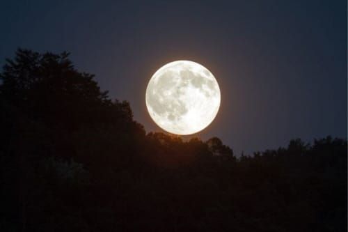 명물 이응다리에서 색다른 정월대보름 맞는다 post image