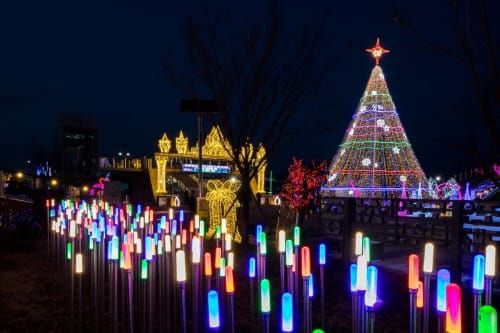 2023 세종 빛 축제, 한국축제콘텐츠대상 특별상 post image