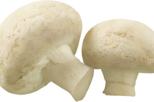 부여군, 농업부산물 재활용을 위한 성공적인 첫 걸음 post image