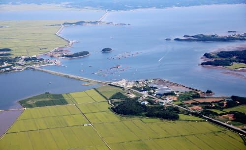 미래 먹거리 보고로 뜨는 ‘천수만벨트’ post image