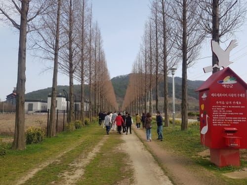 ‘토닥토닥’ 내포문화숲길서 몸·마음 쉰다 post image