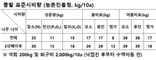 고품질 뽕잎-오디, 봄철 관리에 달렸다 post image