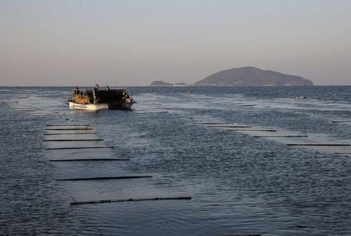 바다의 반도체 ‘김’ 신규 양식장 개발한다 post image