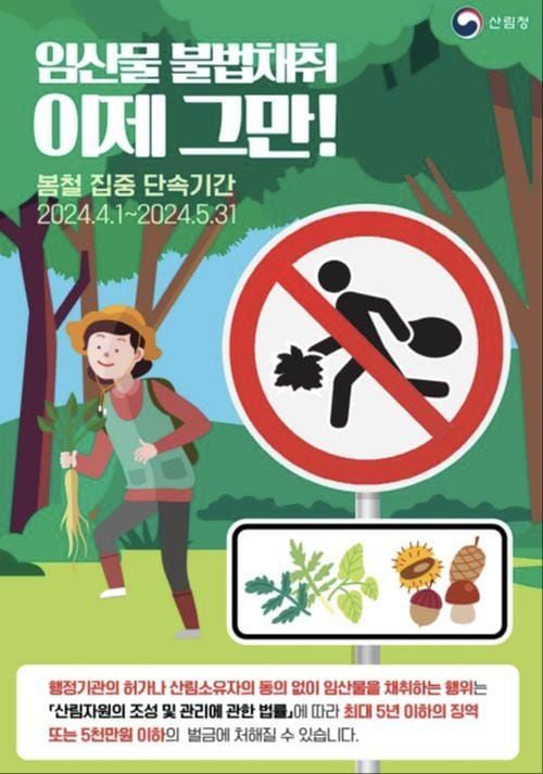 충청남도, 산나물 불법 채취 말일까지 집중 단속 post image