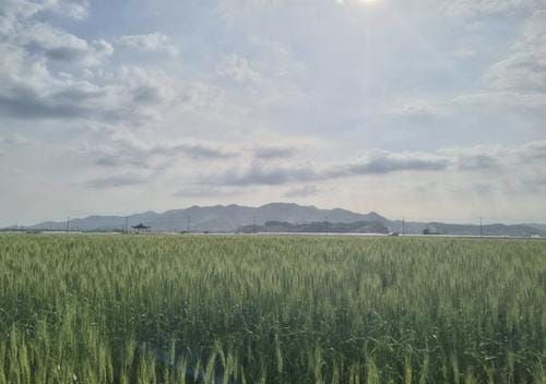 지역 종자산업 경쟁력 확보 ‘박차’ post image