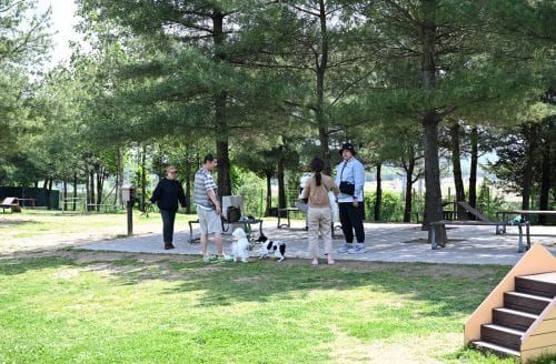 세종시의회, 반려동물 공간 조성을 위한 연구모임 현장방문 post image