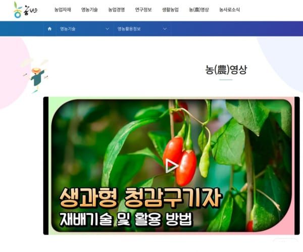 생과용 구기자 ‘청감’ 중요 정보 한눈에 post image