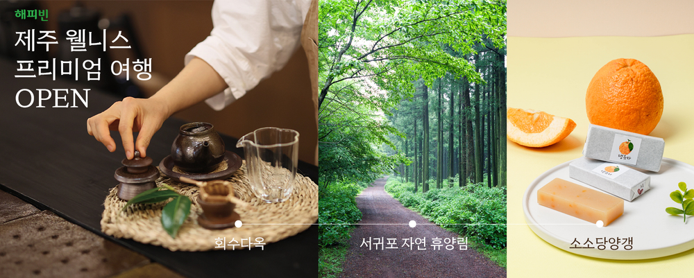 회수다옥 ‘제주 웰니스 프리미엄 여행’ 프로그램 선보여 post image