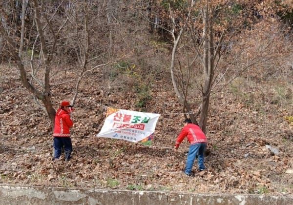 세종시 '입산 금지' 긴급 행정명령 post image