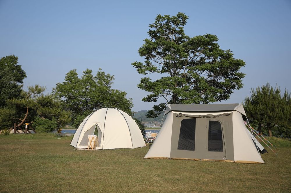 부여군 고향사랑기부제, 체험형 답례품으로 ‘진달래관광농원’ 인기 post image