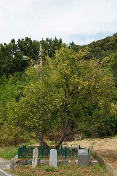부여, 생생 국가유산 사업‘헤리티지 위에 쌓아가는 헤리티지’ 프로그램 시작 post image